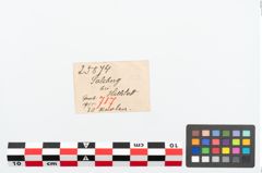 Etikett zu Perlenkette (NHMW-PRAE-025874)